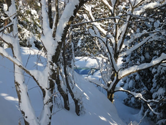 約2.0ｍ以上の積雪