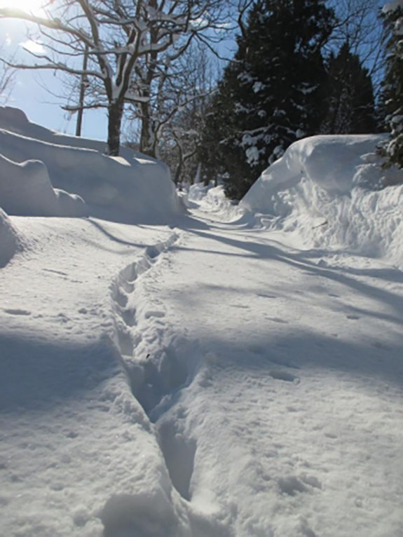 約2.0ｍ以上の積雪